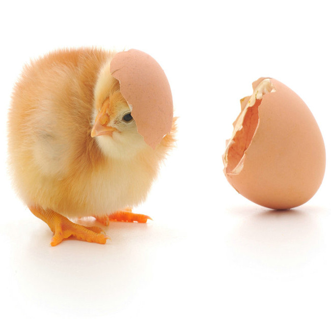 Хорошее качество витамина AD3, кормовой класс