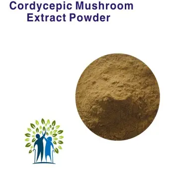 Hữu cơ Đông Trùng Hạ Thảo 7 Phần Trăm Cordycepic Sinensis Axit Nấm Mushroom Extract Bột
