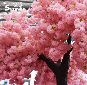 F-1035 <span class=keywords><strong>Rami</strong></span> di Fiori di Ciliegio Bianchi in Seta per Decorazioni Matrimoniali - Product Image 3