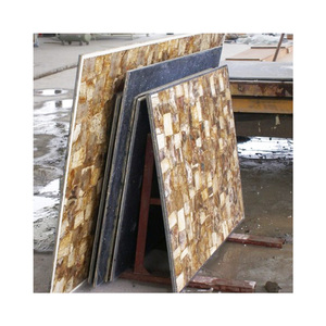 Panneau de revêtement mural pour villa, prix d'usine, dalle de bois pétrifié brun naturel massif, pierre fossile à vendre - Product Image 6