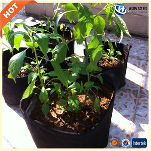 Venta caliente <span class=keywords><strong>de</strong></span> la decoración <span class=keywords><strong>de</strong></span> interior al aire libre árbol crecer bolsa <span class=keywords><strong>en</strong></span> ebay <span class=keywords><strong>amazon</strong></span> - Product Image 2