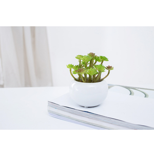 De venta al por mayor barato tipos de artificial mini suculentas y <span class=keywords><strong>cactus</strong></span>, para venta - Product Image 1