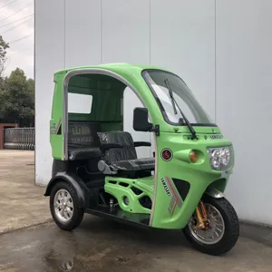 中国流行产品封闭式气体三轮车