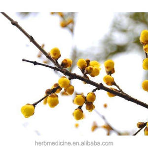 Flores de <span class=keywords><strong>Chimonanthus</strong></span> Praecox Secas al por Mayor, Té de Flores de Invierno para la Venta - Product Image 3