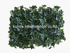 Comercio al por mayor de todo tipo de pared verde planta artificial sistema de <span class=keywords><strong>la</strong></span> pared verde pared vertical verde en china - Product Image 1