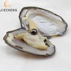 7-8Mm Bán Buôn Trộn Màu Gạo Hình Dạng Tình Yêu Ngọc Trai Oyster Farm Hàu Với Shell Pearls