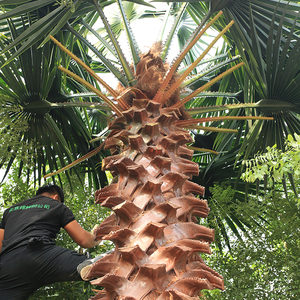 Ấn Độ chống UV chống cháy ngoài trời trang trí nhân tạo ngày washingtonia cây cọ - Product Image 3