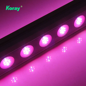 Barra de Cultivo LED de Doble Cara de 60w 120w 200w 180w 240w 300w, Iluminación Interior para Cultivo, Utilizada en Cultivo de Tomates en Holanda - Product Image 4