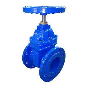 double Flanged Gate valve DN100 pn16