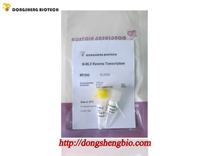 Kit M - MLV transcripción inversa - Product Image 2