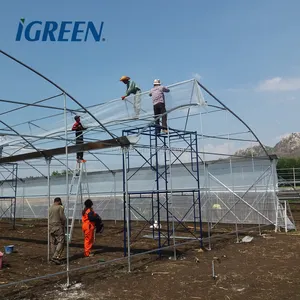 Commercial vegetable greenhouse for tropical climate
