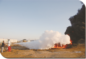 50 kg abc <span class=keywords><strong>extincteur</strong></span> à poudre sec sur roues - Product Image 4