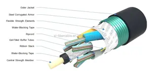 Fibre Drop Cable 24 ~384 Cores Stranded Layer Armored Ribbon Fiber Optic Cable GYDTA
