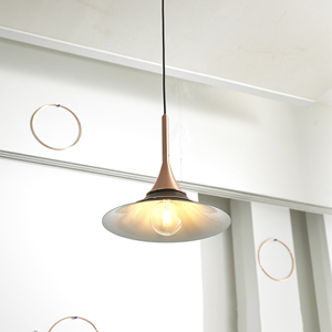 <span class=keywords><strong>2019</strong></span> de moda productos cuerno colgante en forma de lámpara de iluminación interior tienda de café de luz colgante - Product Image 6