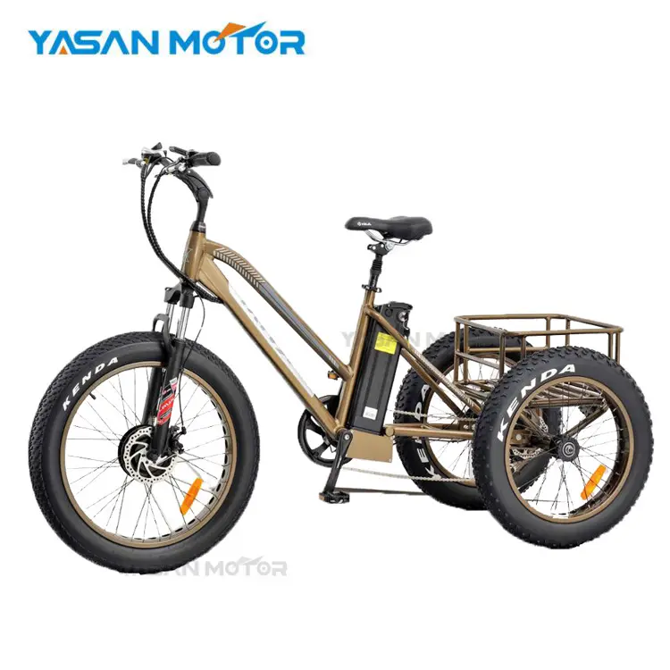 New arrive bafang 250W 350W 750W motor three wheel electric bike with 24*4.0inch fat tire e trike electric bike for adults