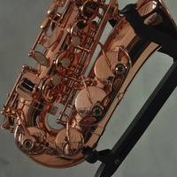 Popular Woodwind Instrument Rose Brass HOT SALE Alto Saxophone