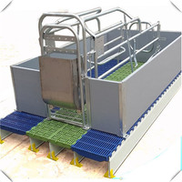 Farrowing Pig Gestation Crate, Sow House