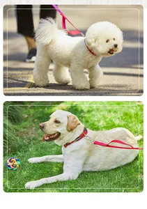 High quality comfortable pet dog collar and leash nylon material dog accessories