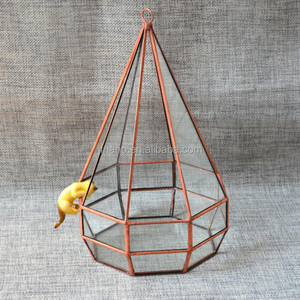 Planta de interior terrarios micro vidrio paisaje de efecto invernadero - Product Image 2