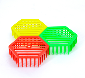 Apiculture — <span class=keywords><strong>cage</strong></span> pour abeilles, en plastique, bambou, reine, équipement pour apiculture, fourniture d'usine, 2018 - Product Image 4