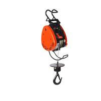 Mini treuil électrique à câble métallique PA 230V 100kg Pa800 Mini treuil électrique