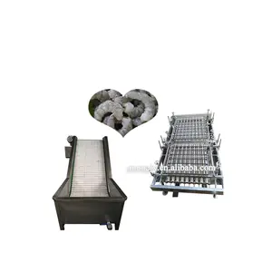 New product shrimp peeler machine,shrimp peel machine,equipment for shrimp processing