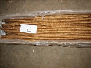 Raiz de bardana fresca chinesa - Product Image 6