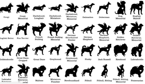 Collar pequeño con grabado <span class=keywords><strong>de</strong></span> perro <span class=keywords><strong>Chihuahua</strong></span>, joyería, mejor amigo, regalo - Product Image 3