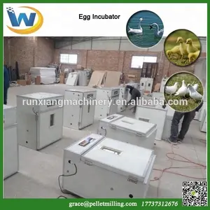 Máquina de incubadora automática de ovos, fornecedor de fábrica, 1000 ovos, máquina de incubadora de galinhas, preços da índia