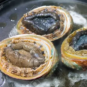 Good quality hot sale fresh frozrn half shell abalone