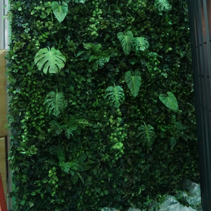 Cintres muraux adhésifs en plastique et en métal pour la décoration intérieure Plante artificielle verte Décoration murale suspendue - Product Image 6