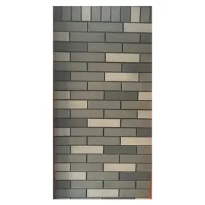 Extérieur décoratif mur carrelage gris briques d'argile