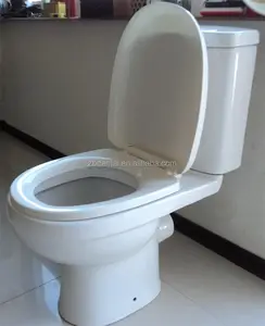 DMT-76C Gravitasi Flushing Toilet Barat Populer Lantai Dipasang WC Lemari Air