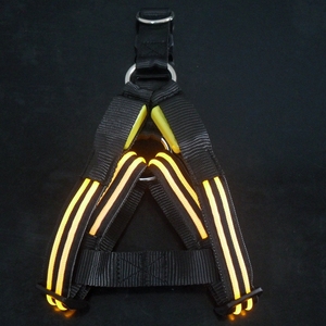 Coleira de cachorro personalizada brilha no escuro piscando led - Product Image 6