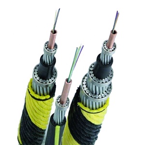 Câble de <span class=keywords><strong>fibre</strong></span> optique sous-marine à 2 cœurs, blindé de qualité, pour sous-marine, mode unique, mètre de prix, pour broadcom - Product Image 3