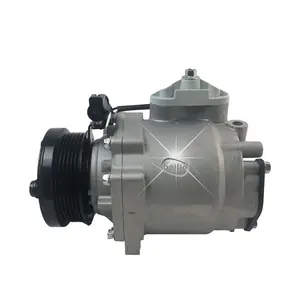 6T1619D629BB/6T1619D629BC/6T1619D629BA/4991276/5007968/1494719 Visteon Scroll TPYE auto ac compressor voor Transit connect 1.8 TD