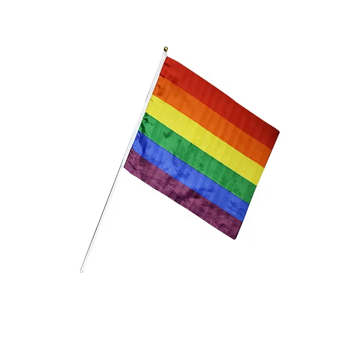 Individueller Regenbogen homosexuell kleinere Größe Hand-Wellen Pansexuelle Flagge