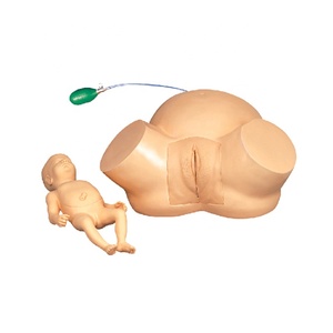 Modello Didattico di Parto, Modello Umano per l'Insegnamento della Distocia, Modello di Ostetricia per il Parto - Product Image 1