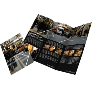 Custom Printing Brochure/pamphlet/manual