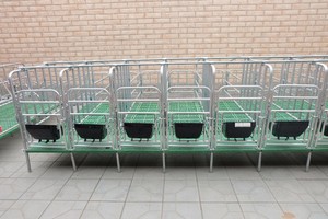 <span class=keywords><strong>Pig</strong></span> Gestazione Gabbia/Gestazione Penna/Gestazione Cassa per Scrofa - Product Image 6