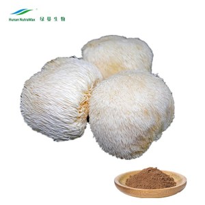 Bán số lượng lớn tự nhiên hericium erinaceus chiết xuất 20% polysaccharides, nguyên liệu cho chế độ ăn uống bổ sung - Product Image 2