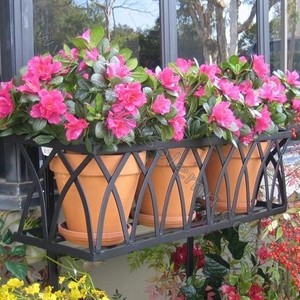 Cage de fenêtre en fer forgé, 10 pièces, Cage de jardin de Style français - Product Image 4