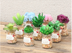 Mini <span class=keywords><strong>piante</strong></span> verdi di plastica tropicale all'ingrosso <span class=keywords><strong>piante</strong></span> succulente artificiali <span class=keywords><strong>in</strong></span> vaso <span class=keywords><strong>in</strong></span> vasi di <span class=keywords><strong>ceramica</strong></span> bianca - Product Image 4