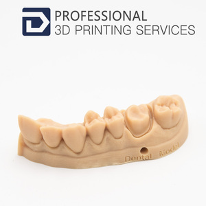 Dents en résine, haute précision, modèle dentaire, <span class=keywords><strong>impression</strong></span> <span class=keywords><strong>3d</strong></span>, - Product Image 2