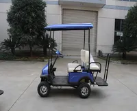 Mini Folding Electric Golf Cart, 2 Seater, 4 Wheel Drive