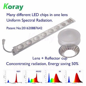 Granja vertical focu lente <span class=keywords><strong>full</strong></span> <span class=keywords><strong>spectrum</strong></span> <span class=keywords><strong>led</strong></span> grow light bar para de interior crece la lámpara - Product Image 3