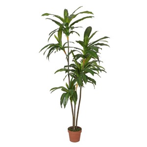Fábrica hecho falso verde pequeño árbol artficial olla de Terre cuite de Vietnam Ficus microcarpa - Product Image 2