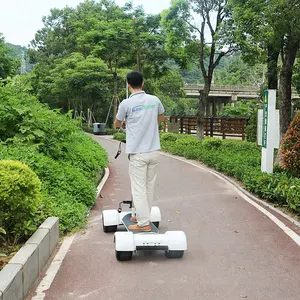 Exclusive Ecorider E7-2 Hot Selling Electric Golf Board with Removable Handle Bar Electric Skateboard 30 Degrees 153*81*35cm