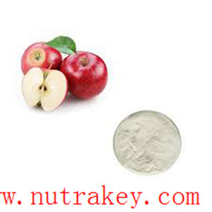 고품질 화이트 Apple 사이다 식초 분말 애플 추출물 - Product Image 4