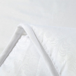 Four Season Queen Size Comforter Hotel <strong>Winter</strong> <strong>Quilt</strong> White Grid Bed Duvet Cotton <strong>Quilt</strong> - Product Image 5